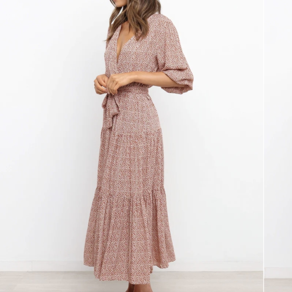Petal & Pup Hadyn Dress in Rust - Picture 3 of 11